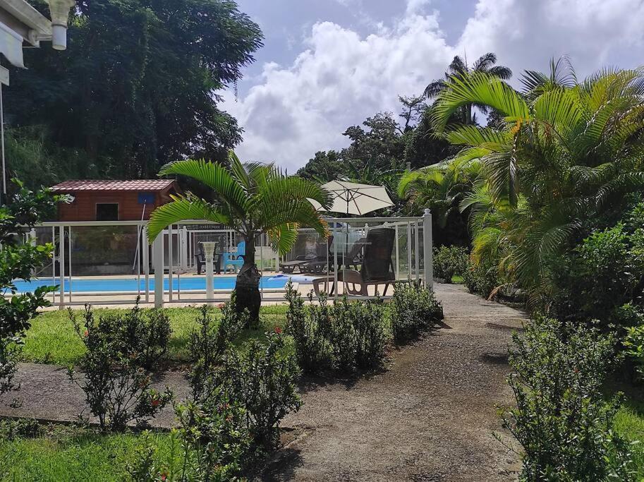 Le Tri Haut De Bellevue - Bungalow Heliconia Pointe-Noire Extérieur photo